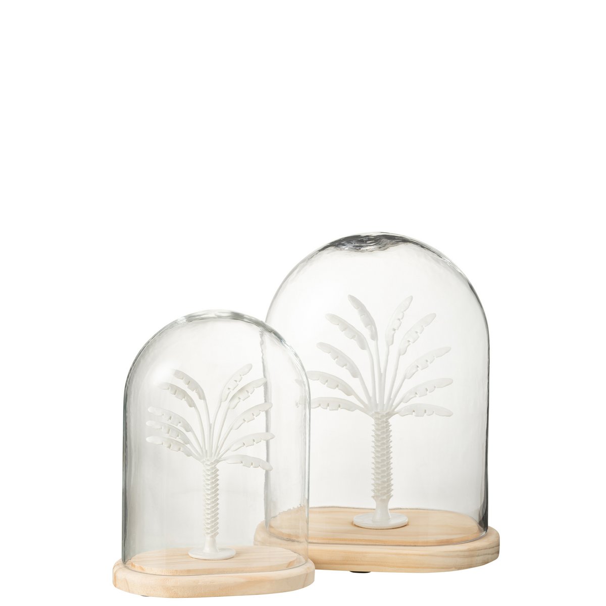 Détail du Pot Cloche Palmier, texture en verre et métal naturel