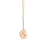 Le gland rose