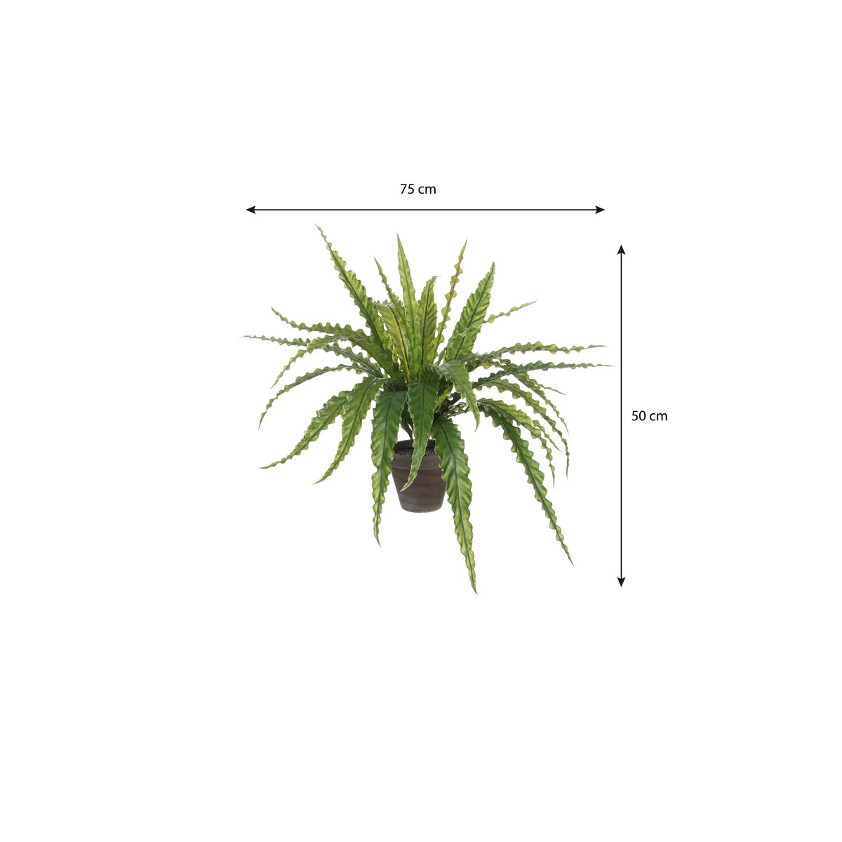 Plante artificielle Asplenium Vert