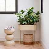 Pot de fleurs intérieur Moritz Beige