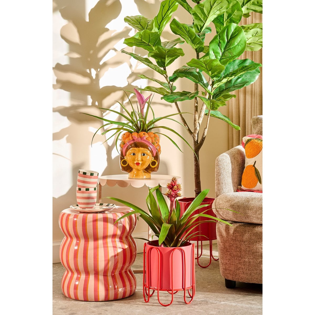 Ficus Lyrata en extérieur sous le soleil