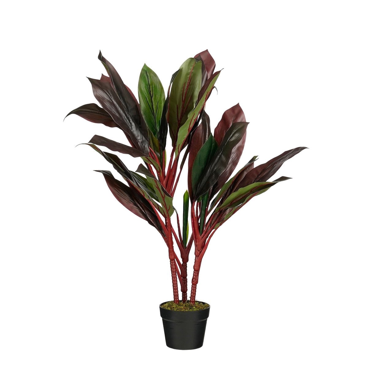 Plante artificielle Cordyline Rouge avec feuilles rouge-vert dans un pot noir