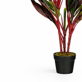 Plante artificielle Cordyline Rouge