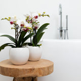 Pot de fleur décoratif en céramique blanche