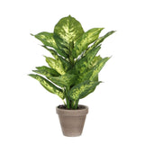 Plante artificielle Dieffenbachia Vert