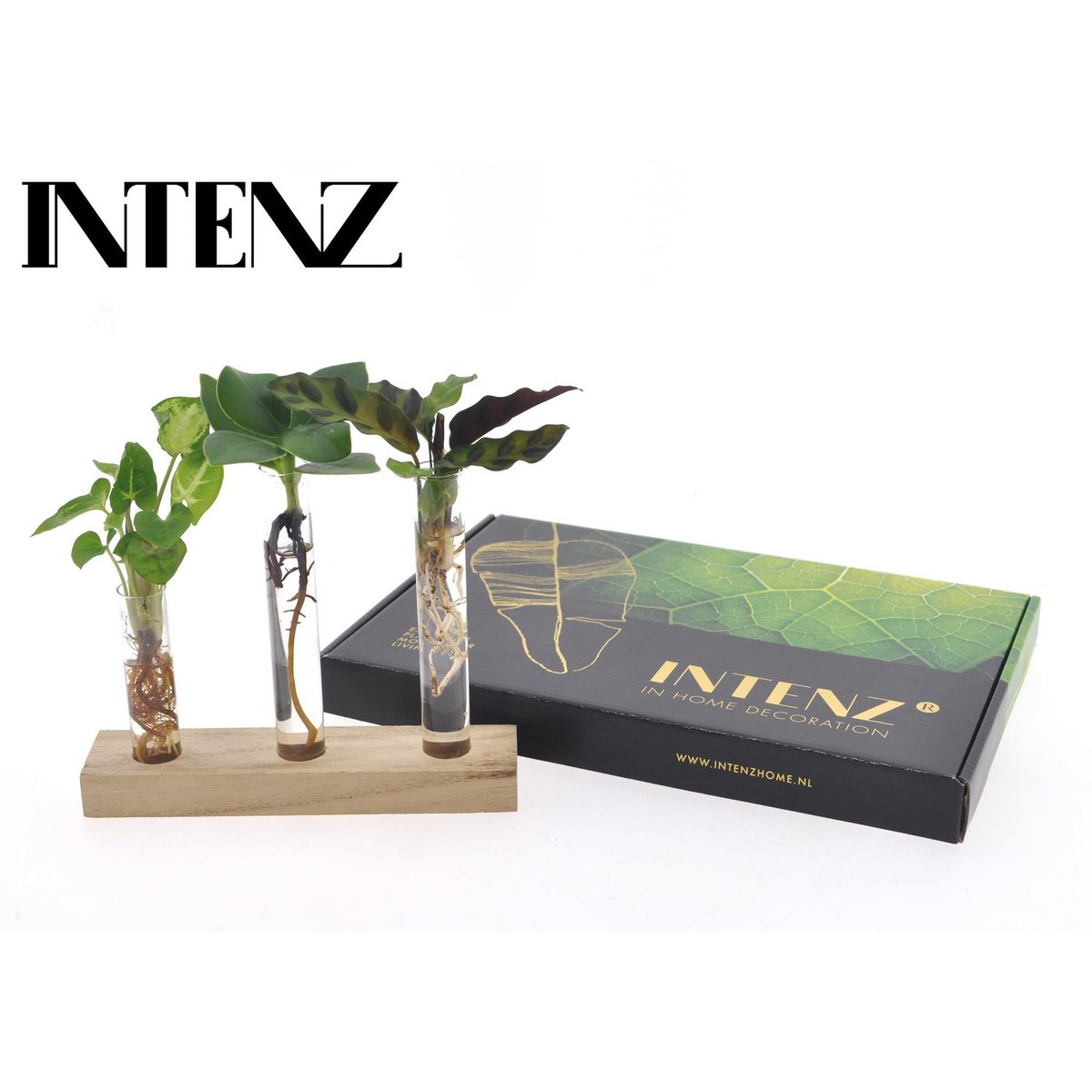 Boîte aux lettres hydroponique - design moderne avec plante