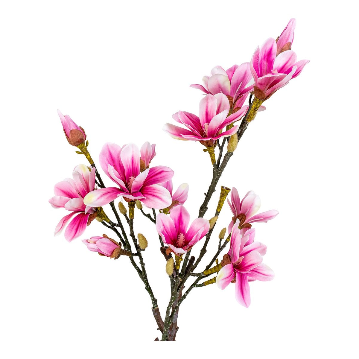 Vue rapprochée des fleurs roses du magnolia artificiel