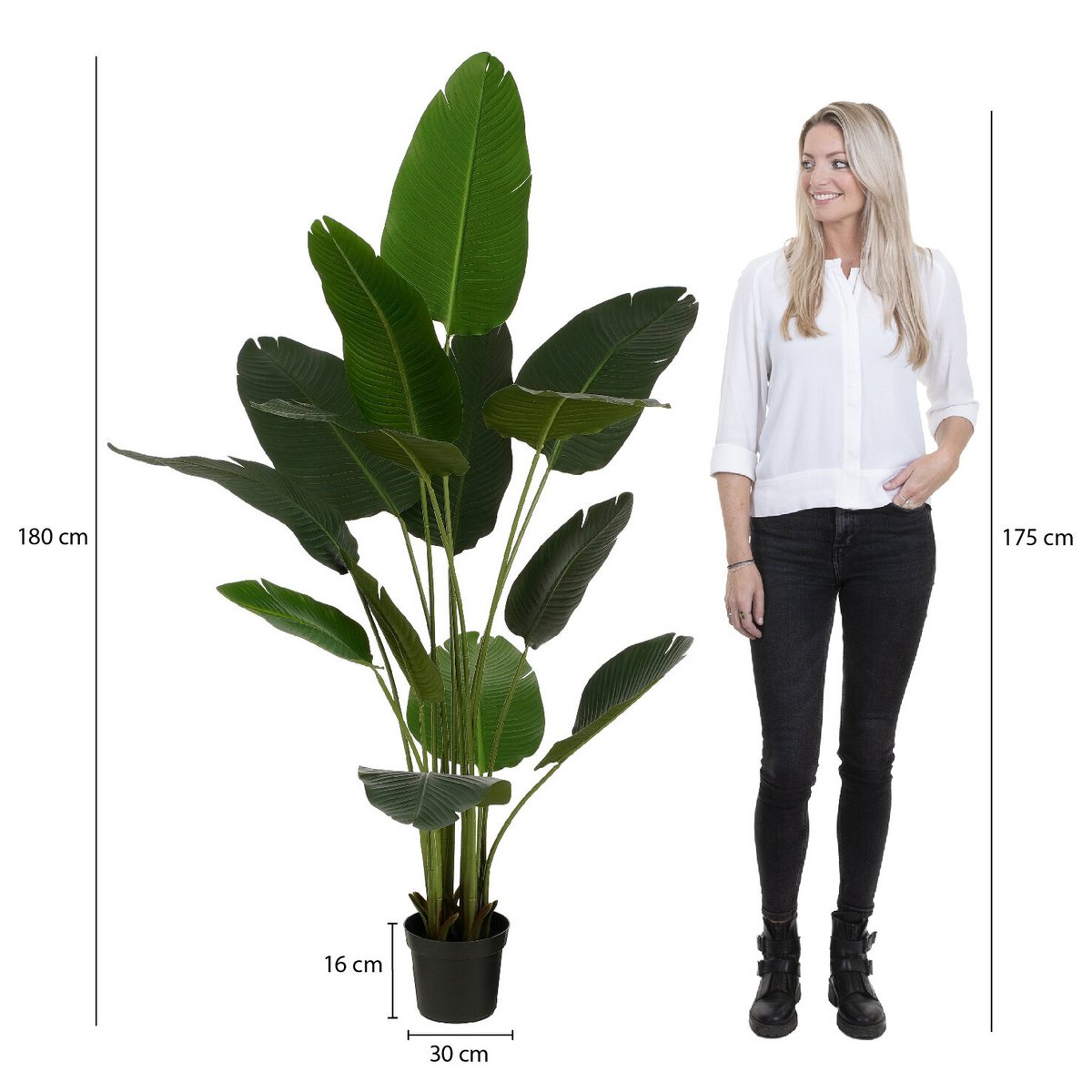 Vue rapprochée de la plante artificielle bananier de Mica Decorations