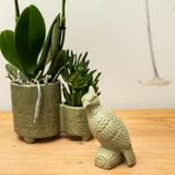 Objet décoratif cacatoès vert