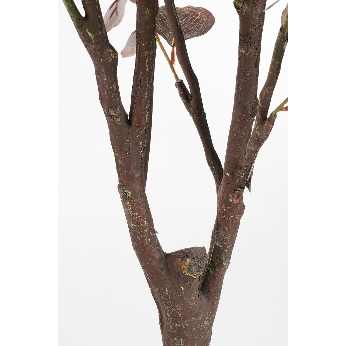 Vue d'ensemble de la plante artificielle Eucalyptus, ajoutant une touche décorative à tout intérieur.