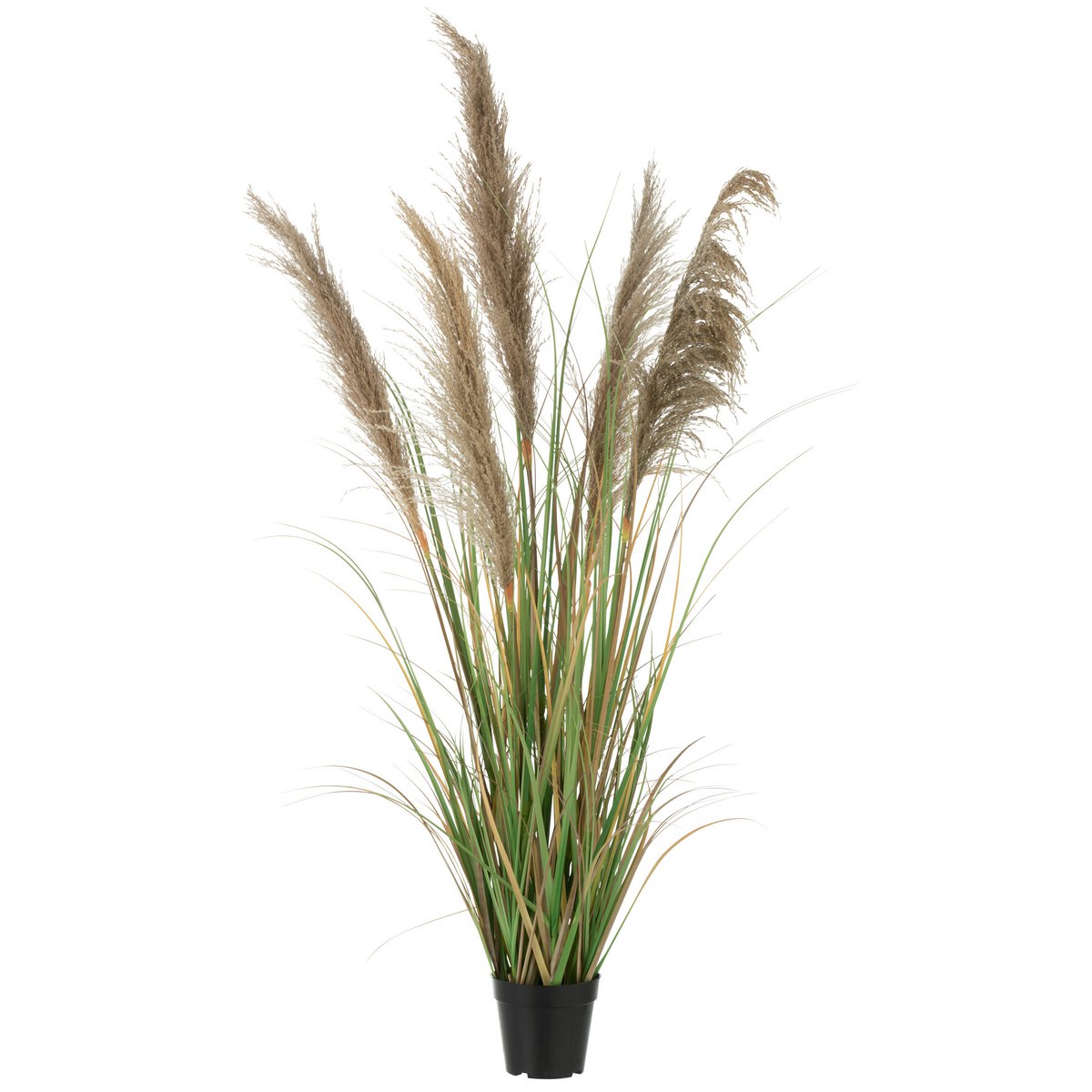 Herbe de Pampa J-Line dans un salon moderne, ambiance naturelle