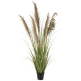 Herbe de Pampa J-Line dans un salon moderne, ambiance naturelle