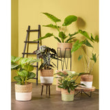 Table d'appoint Pia Marron clair