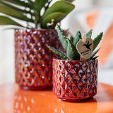 Kolibri Accueil | Pot à perles diamant - Rouge - Ø6cm