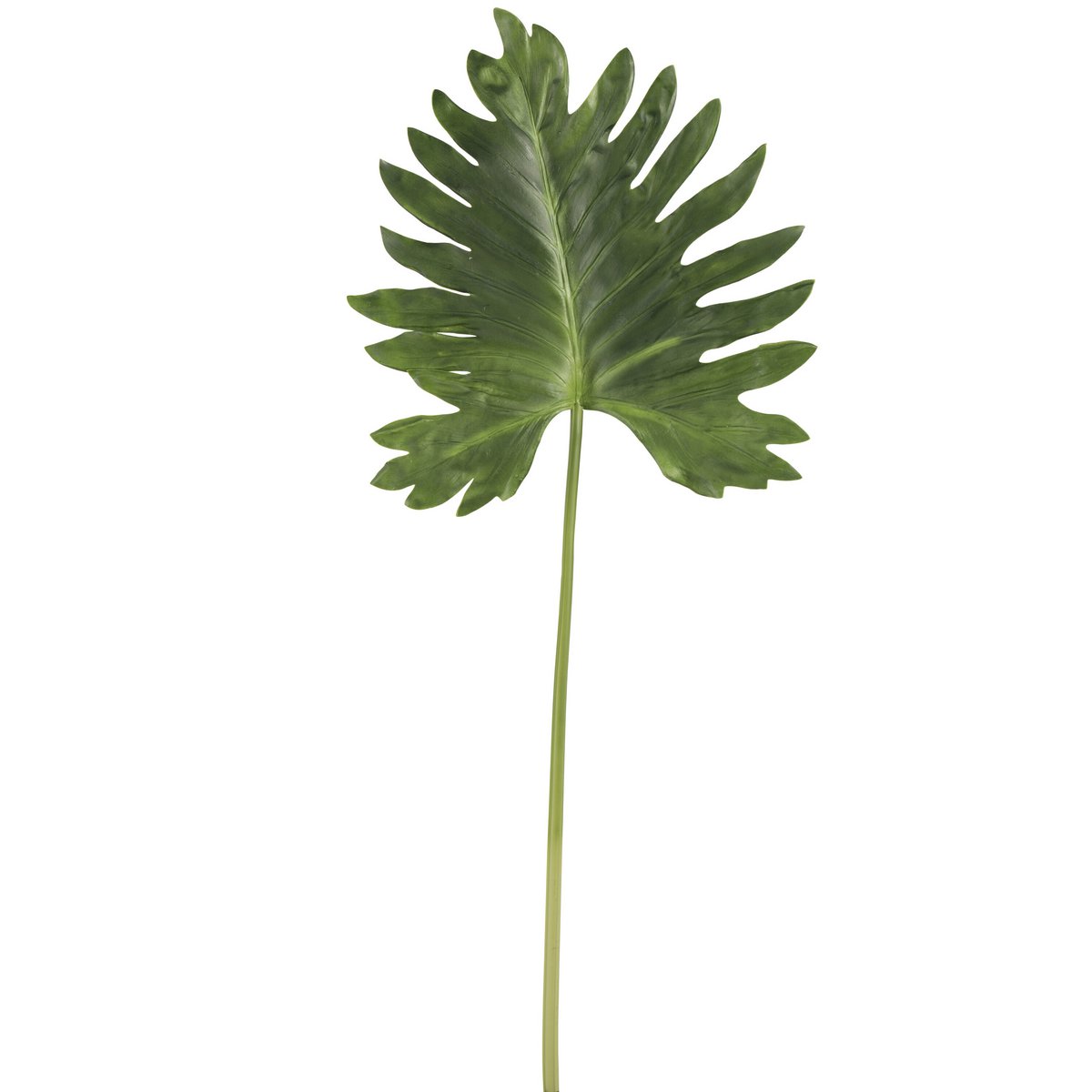Feuille Plastique Vert Foncé J-Line posée sur une table en bois, apportant une touche de nature.
