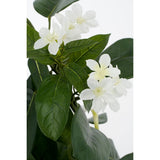 Kunstplant Stephanotis Blanc