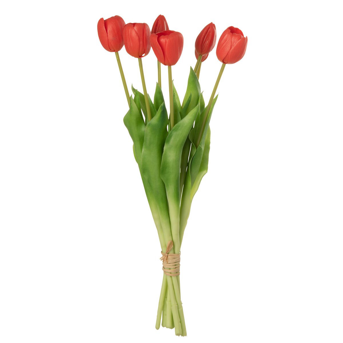 Bouquet de tulipes J-Line en rose corail, vue de face