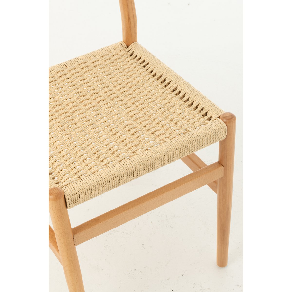 Chaise Lap entourée de plantes d'intérieur, ambiance chaleureuse