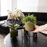 Maison Colibri | Support à plantes - Réhausse à plantes en métal noir Ø12cm