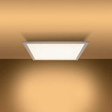 Lampe de plafond LED fonctionnelle métal blanc