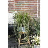 Carex Feather Falls - Ø23cm - ↕60cm - Ø23 - ↨60cm