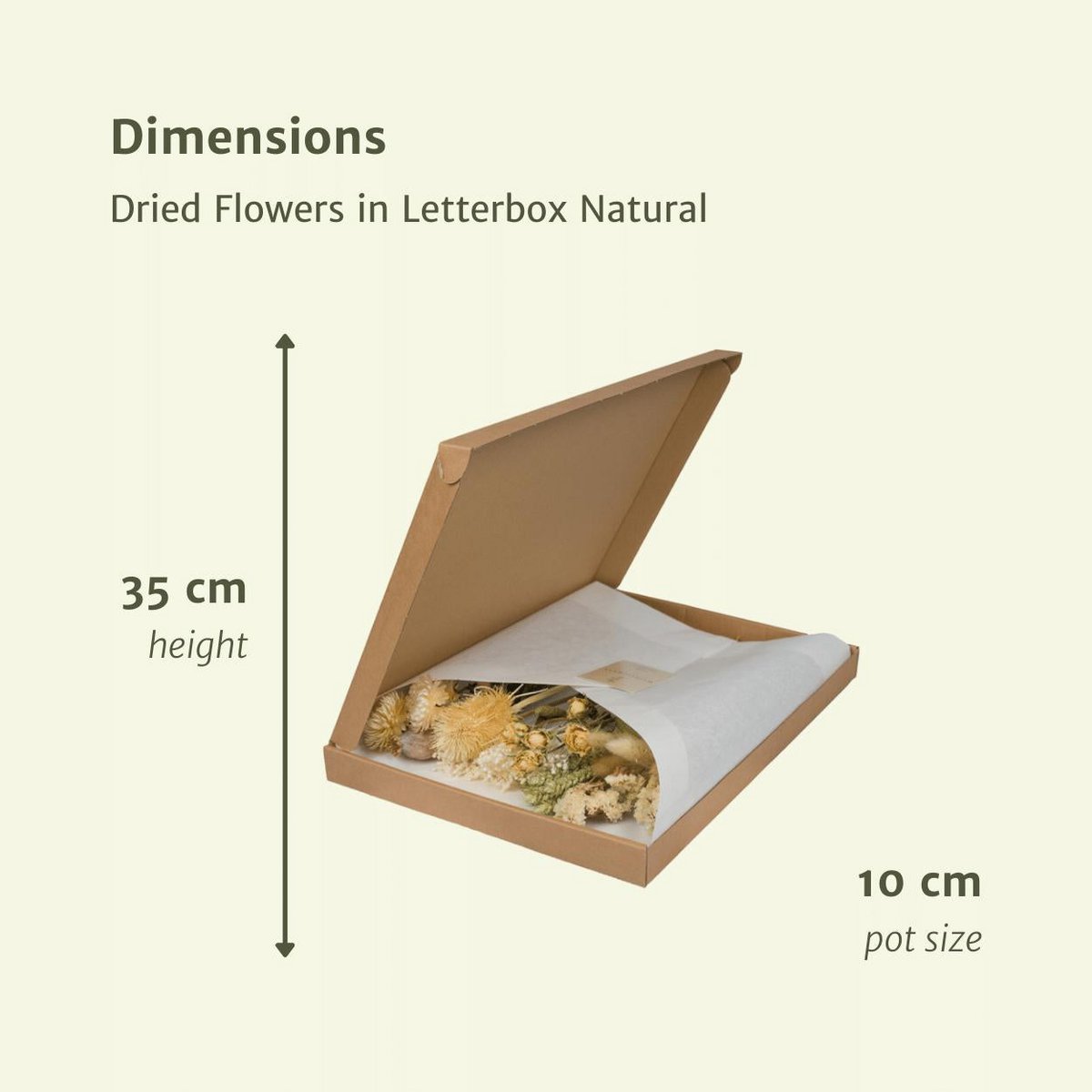Fleur sèche dans la boîte aux lettres multiples