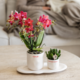 Home Kolibri | Je t'aime Sierpot - Ø9cm