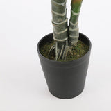 Ambiance intérieure avec la plante Monstera décorative
