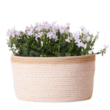 Pot de fleur campanule blanche avec panier coton et système d'arrosage