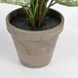 Plante artificielle Dieffenbachia Vert
