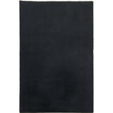 Tapis Moelleux Noir 160x230CM avec texture douce et élégante