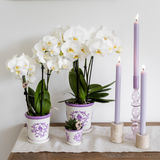 Pot Kolibri Home I Malaga - Lilas - Ø9cm