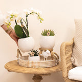 Pot de fleur décoratif en céramique blanche