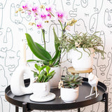 Orchidée Phalaenopsis rose en pot Ø9 cm