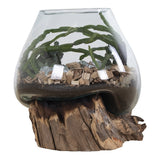 Vue latérale de la Goutte d'eau Saint-Marin