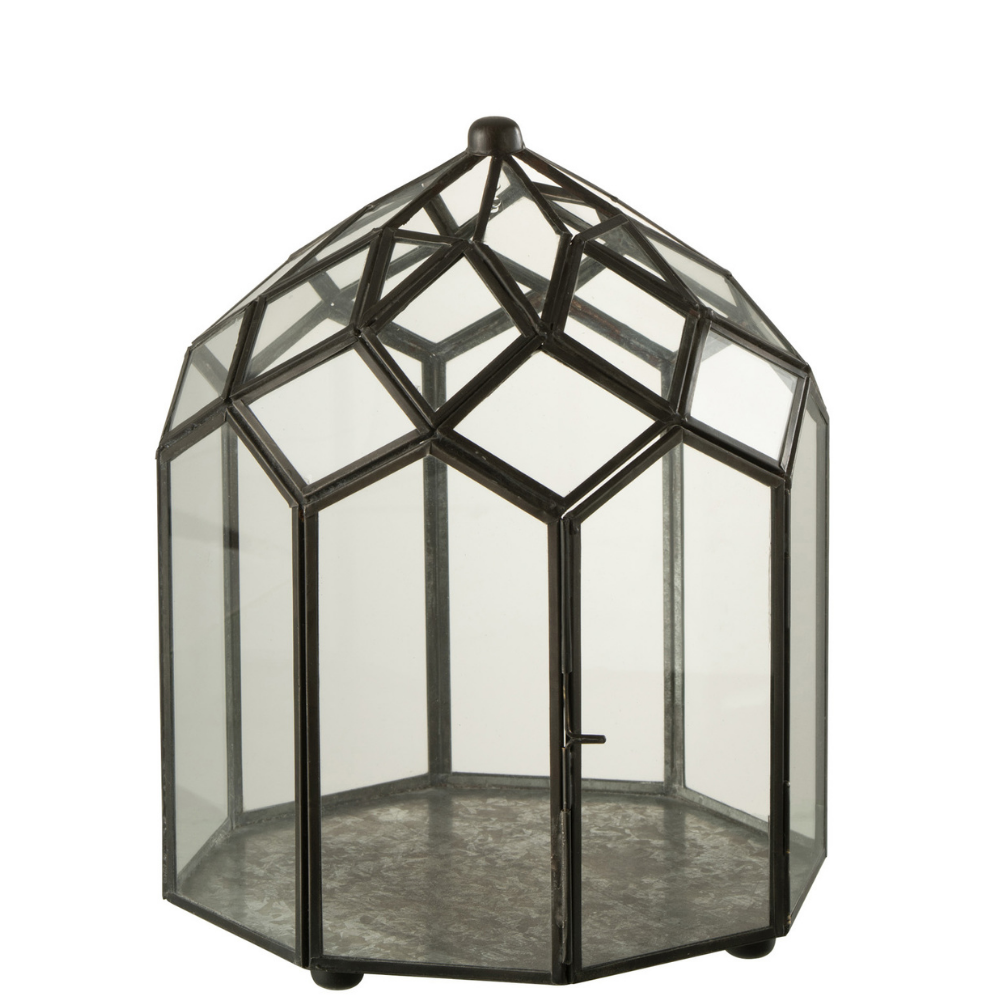 Terrarium J-Line noir en verre et métal, vue de face avec détails