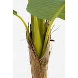 Plante artificielle Vert