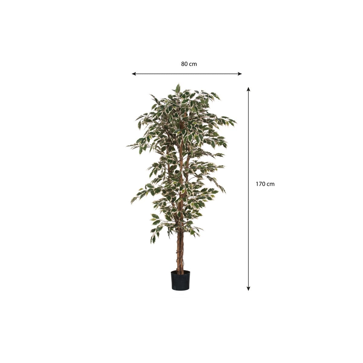Ficus artificiel H180 cm sur fond neutre, apportant une touche de verdure