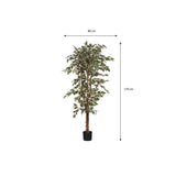 Ficus artificiel H180 cm sur fond neutre, apportant une touche de verdure