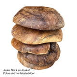 Bol en teck Ø 25 cm Produit naturel unique à base de bois de racine