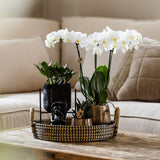 Maison Colibri | Bol décoratif - Plateau tressé noir Ø30cm