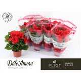 Baladin P12 Dolc'amore® - Décoration élégante en résine de 12 cm de diamètre et 28 cm de hauteur