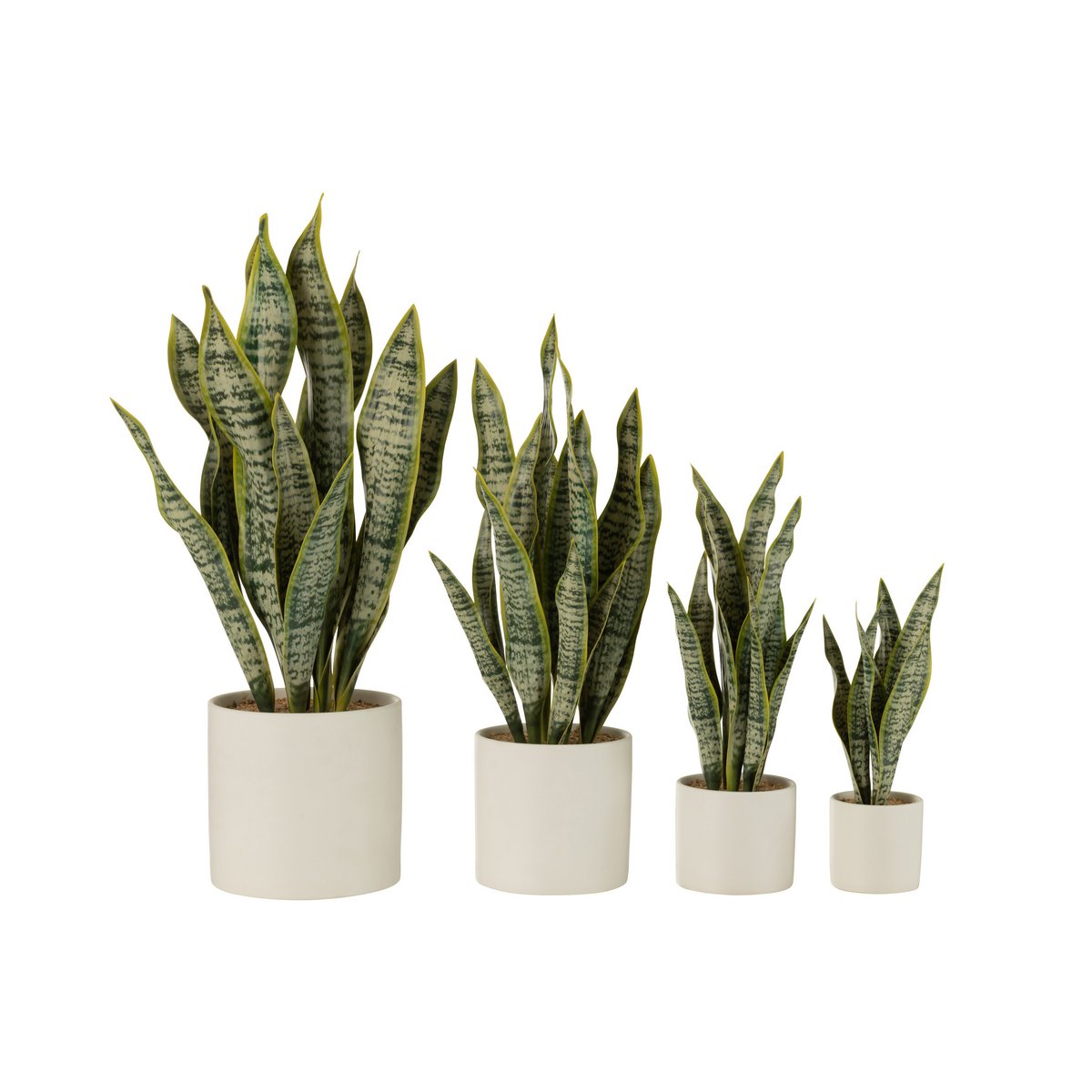 Détails de la plante artificielle Sansevieria J-Line, texture réaliste