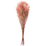 Bouquet de gypsophile séché rose J-Line, vue de face