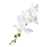 Orchidée artificielle en pot noir, parfaite pour décoration intérieure