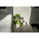Le Vase Tendance - Béton - L