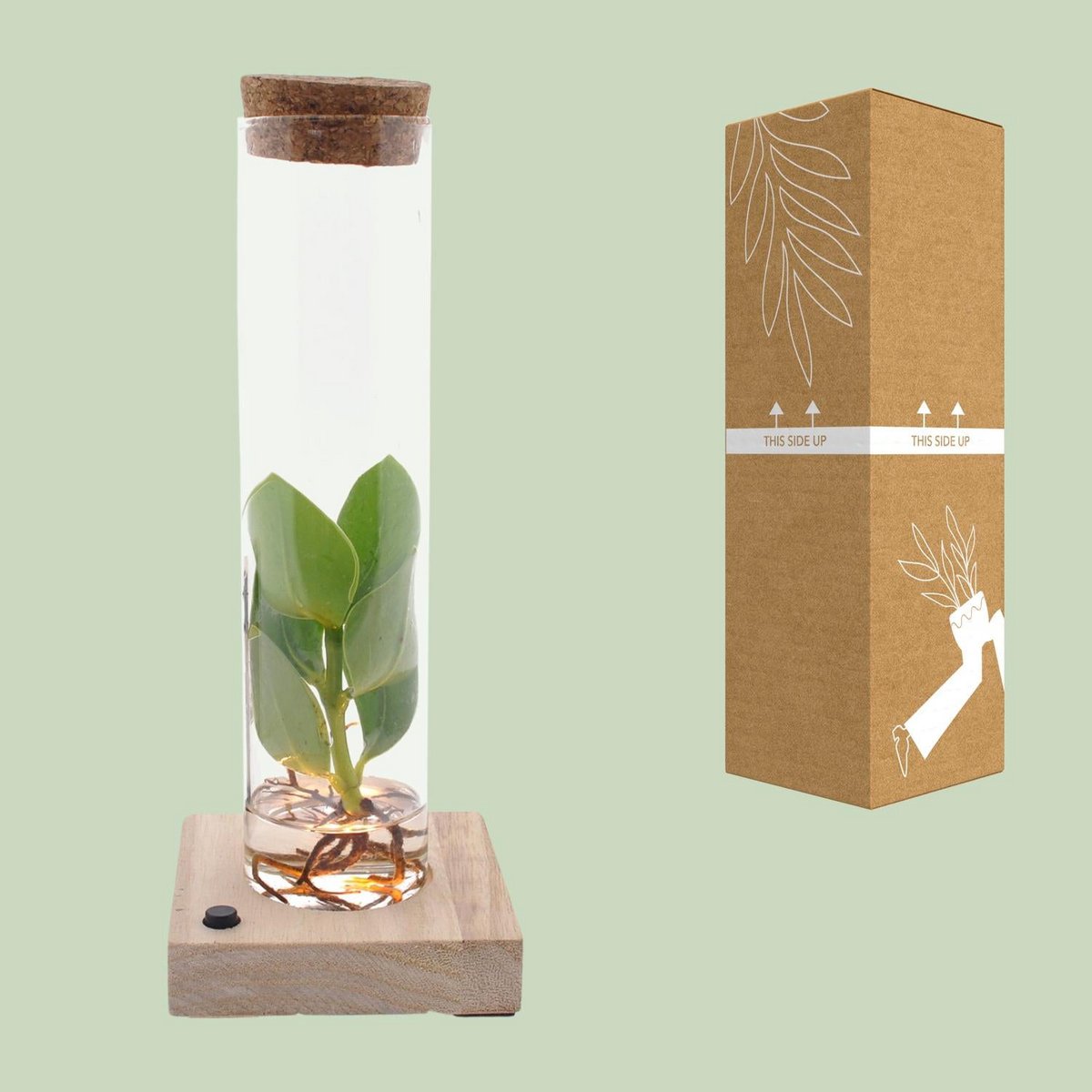 Détail du tube en verre montrant la LED intégrée pour une ambiance chaleureuse