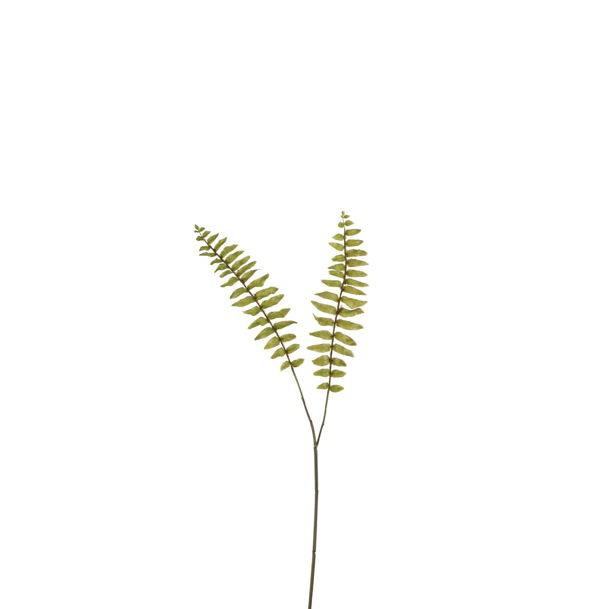 Branche de décoration J-Line Fern Boston en plastique vert, vue détaillée