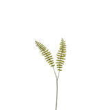 Branche de décoration J-Line Fern Boston en plastique vert, vue détaillée