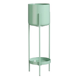 Pot de fleurs à l'intérieur de Colyn Groen